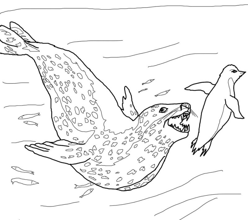 Desenho de Leopardos para colorir e imprimir: número 48