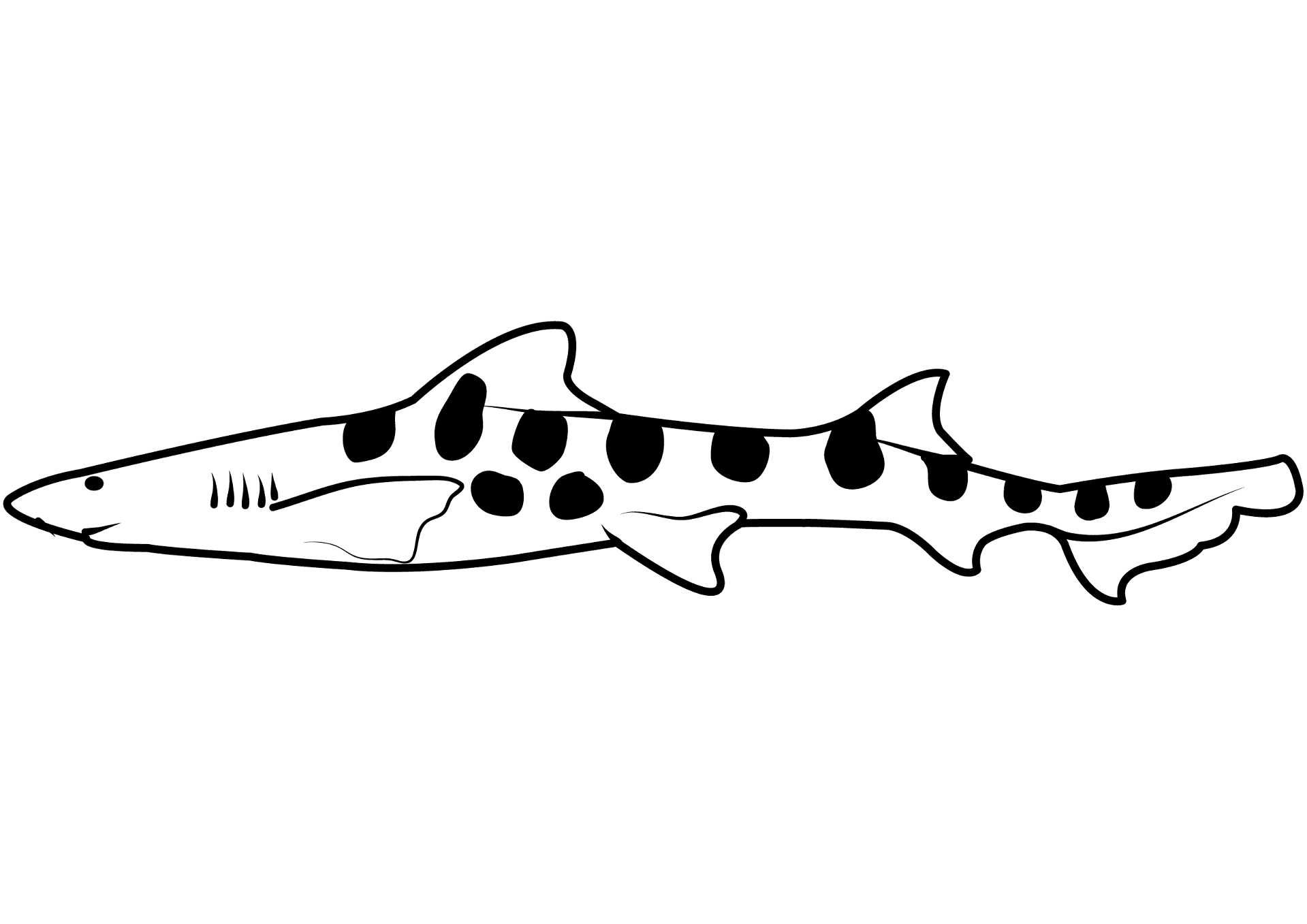 Desenho de Leopardos para colorir