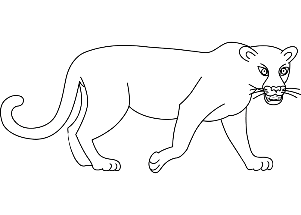 Desenho de Leopardos para colorir