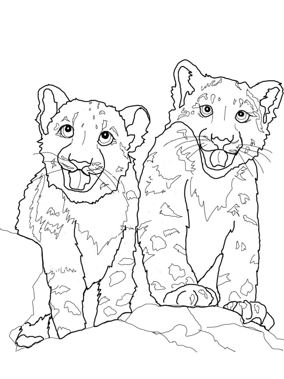 Desenho de Leopardos Da Neve para colorir e imprimir: número 2