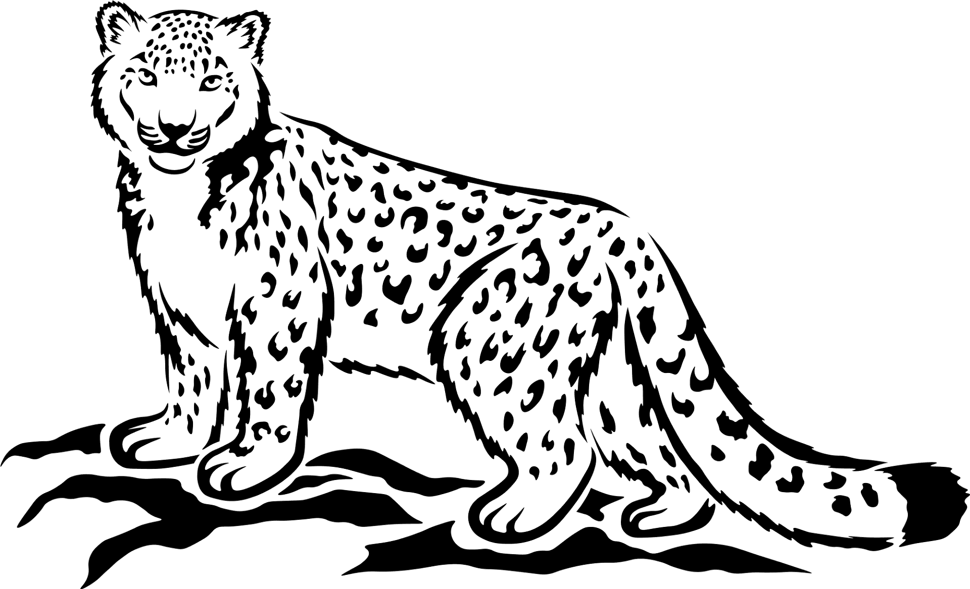 Desenho de Leopardos Da Neve para colorir e imprimir: número 4