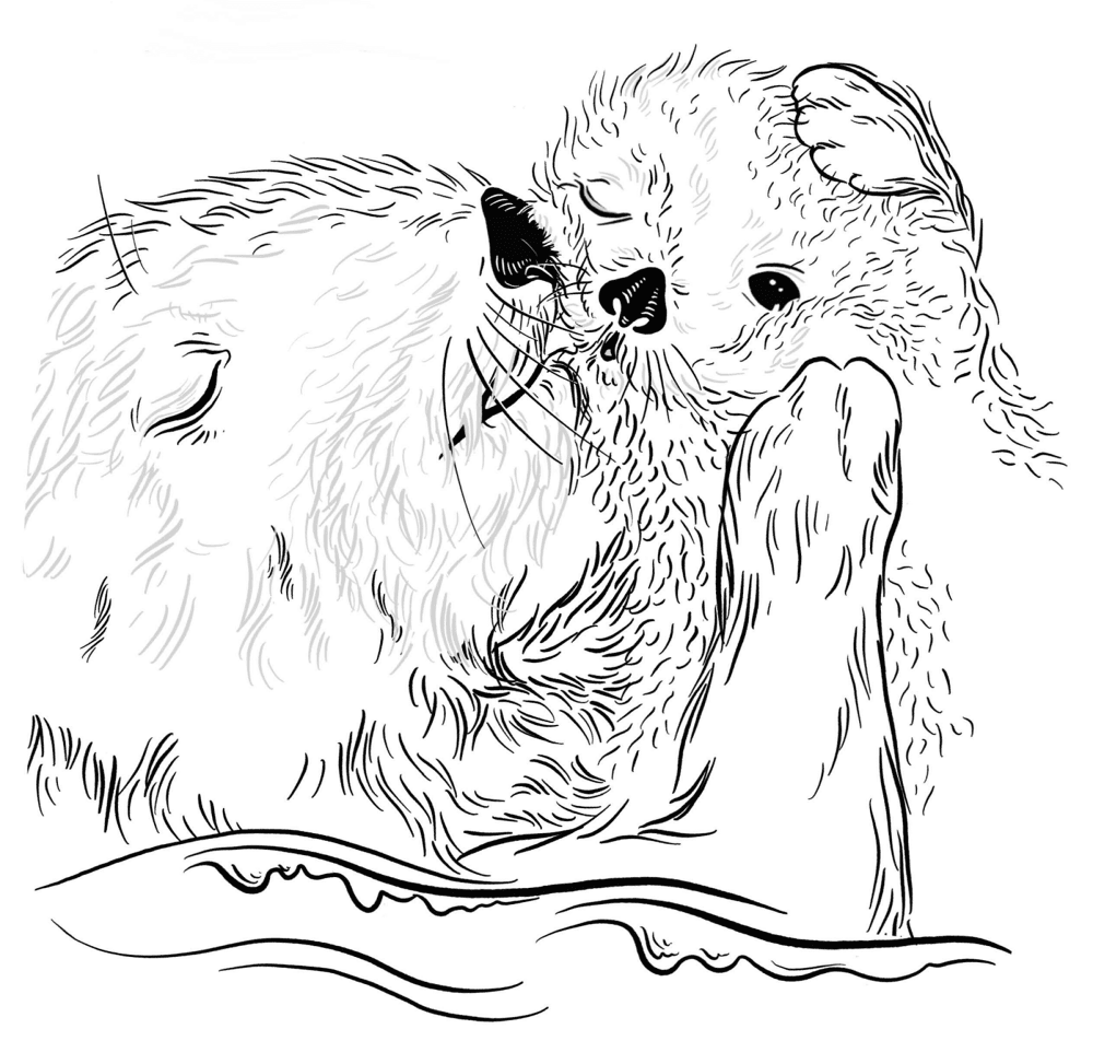 Desenho de Lontra para colorir e imprimir: número 4