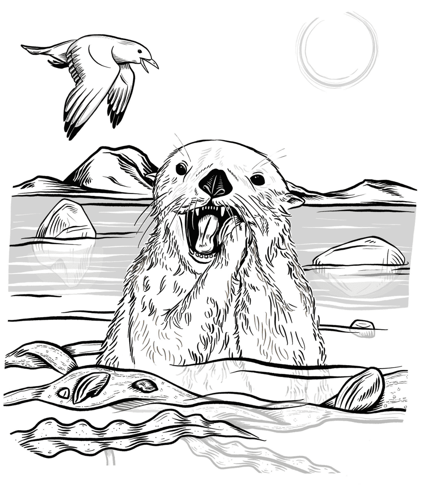 Desenho de Lontra para colorir e imprimir: número 5