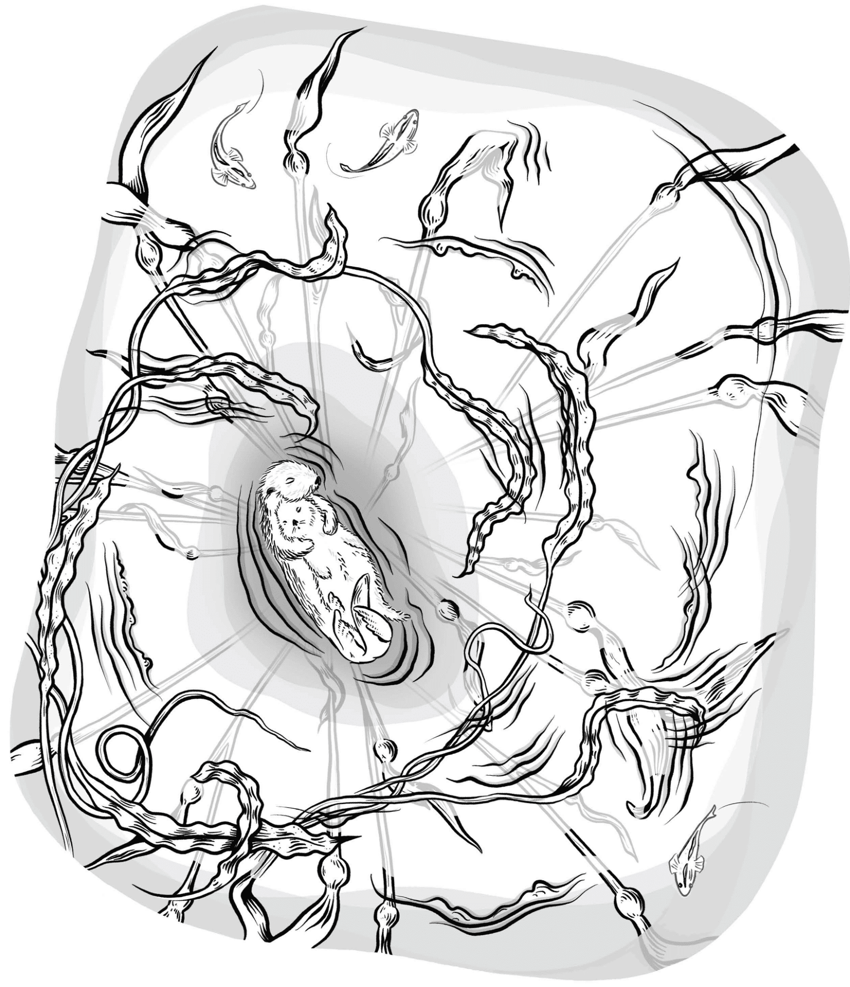 Desenho de Lontra para colorir e imprimir: número 6