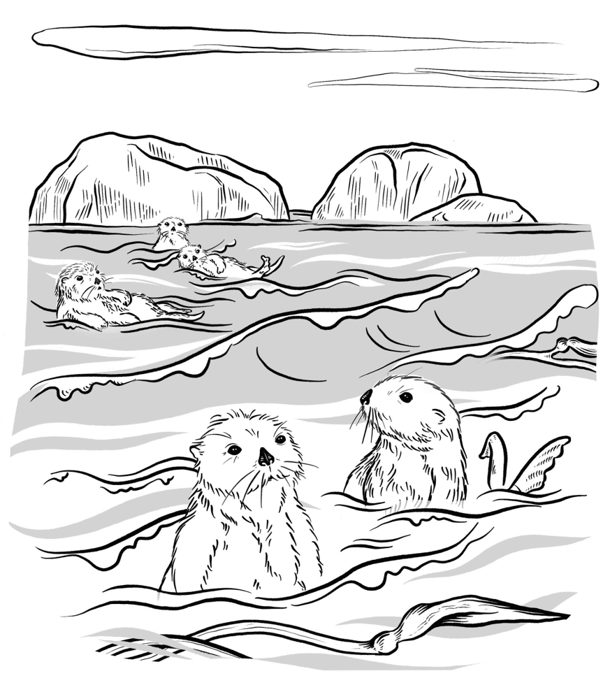 Desenho de Lontra para colorir e imprimir: número 7