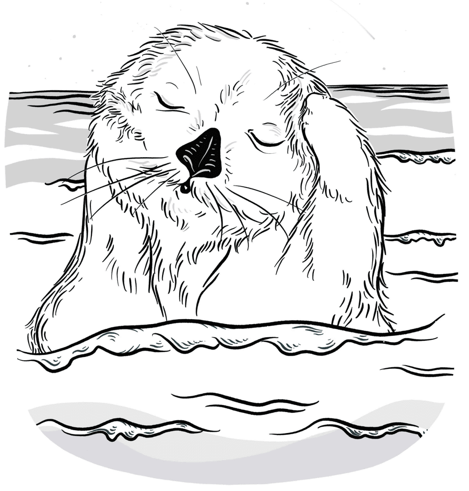 Desenho de Lontra para colorir e imprimir: número 9