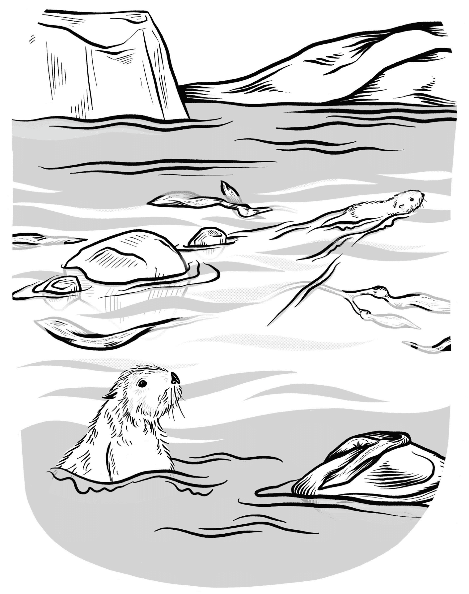 Desenho de Lontra para colorir e imprimir: número 10