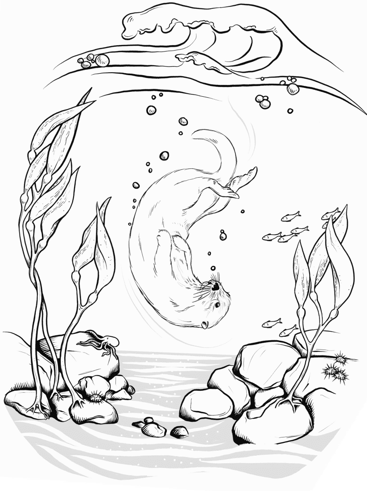 Desenho de Lontra para colorir e imprimir: número 11