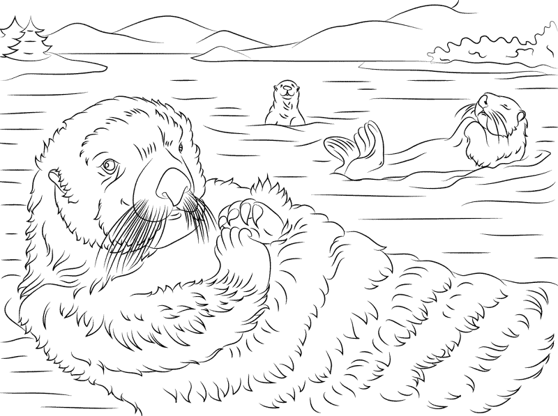 Desenho de Lontra para colorir e imprimir: número 30