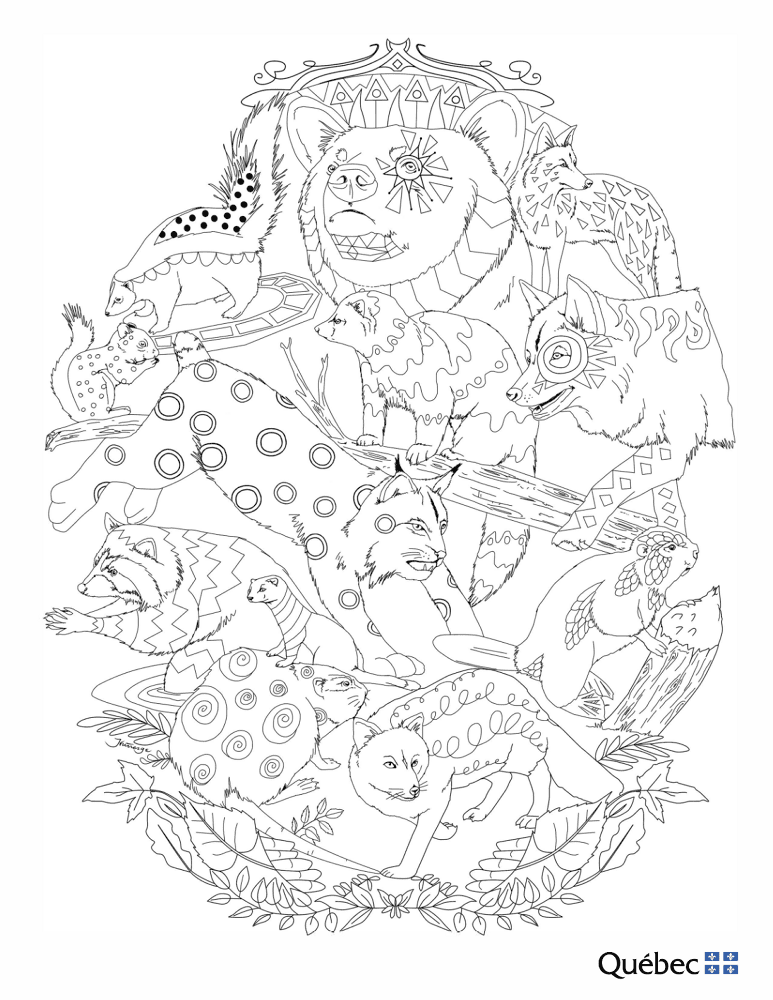 Desenho de Lontra para colorir e imprimir: número 33