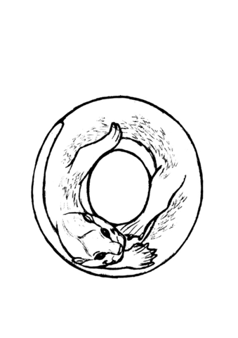 Desenho de Lontra para colorir e imprimir: número 39