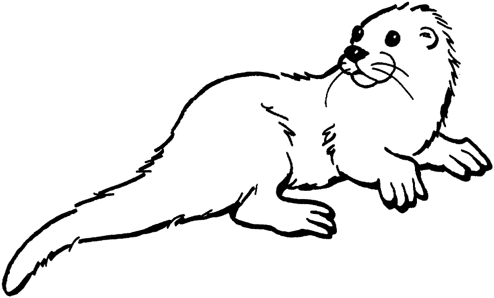 Desenho de Lontra para colorir e imprimir: número 41