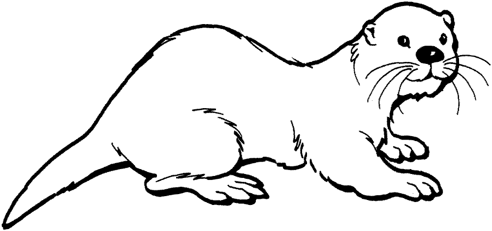 Desenho de Lontra para colorir e imprimir: número 42