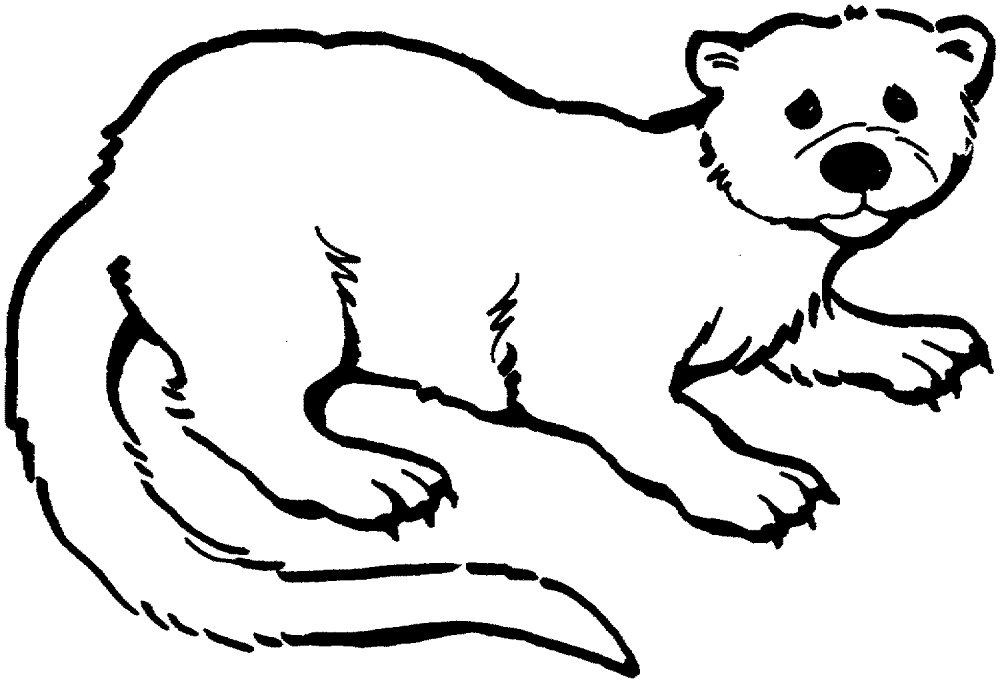 Desenho de Lontra para colorir e imprimir: número 43