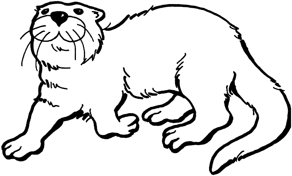 Desenho de Lontra para colorir e imprimir: número 44