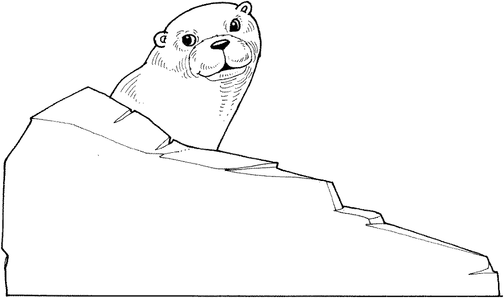 Desenho de Lontra para colorir e imprimir: número 46
