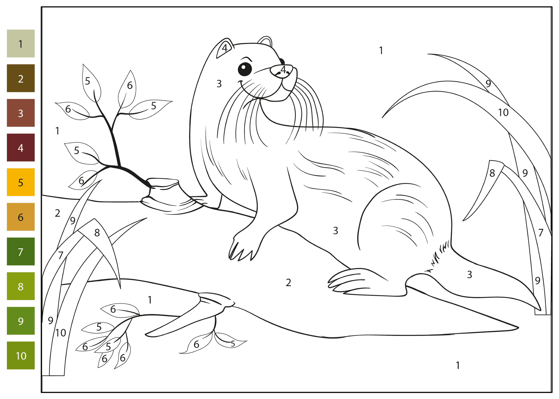 Desenho de Lontra para colorir e imprimir: número 47