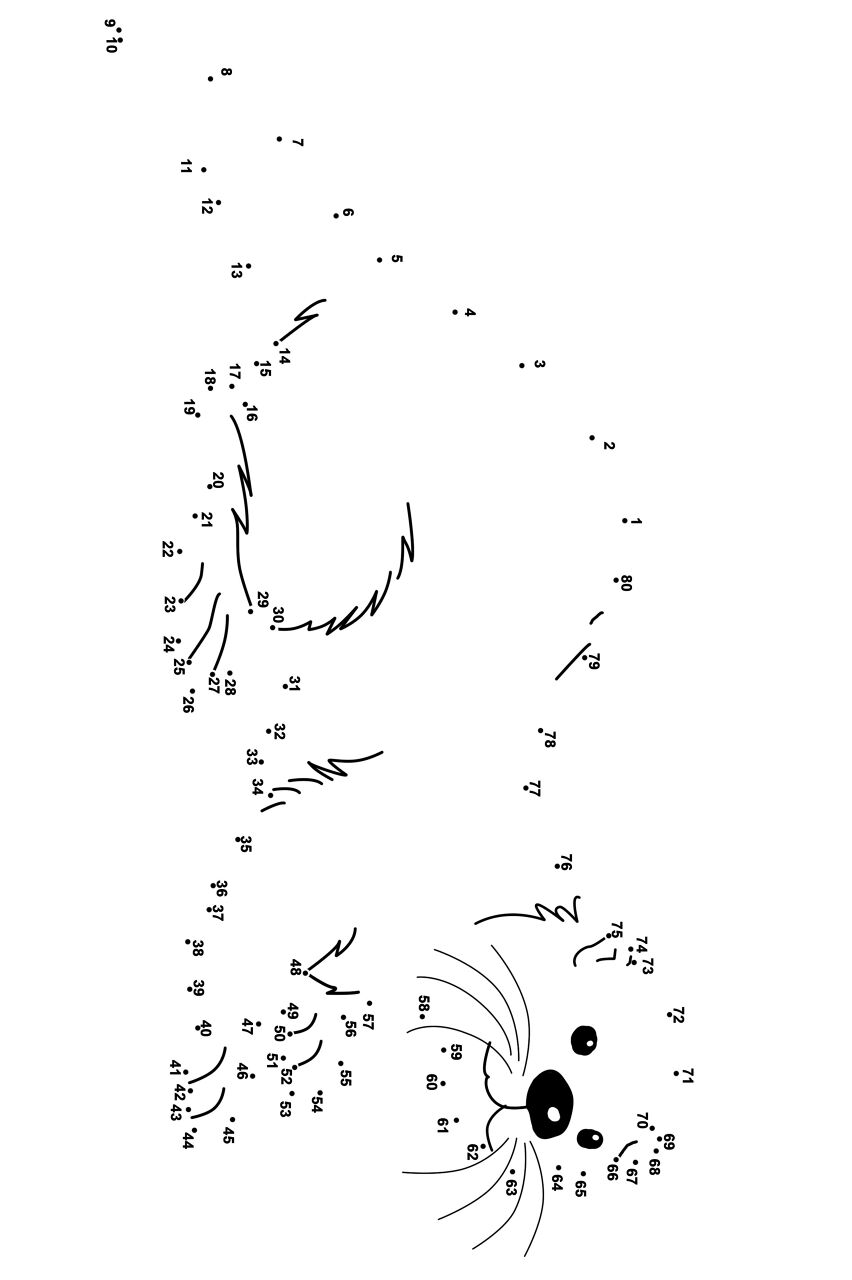 Desenho de Lontra para colorir