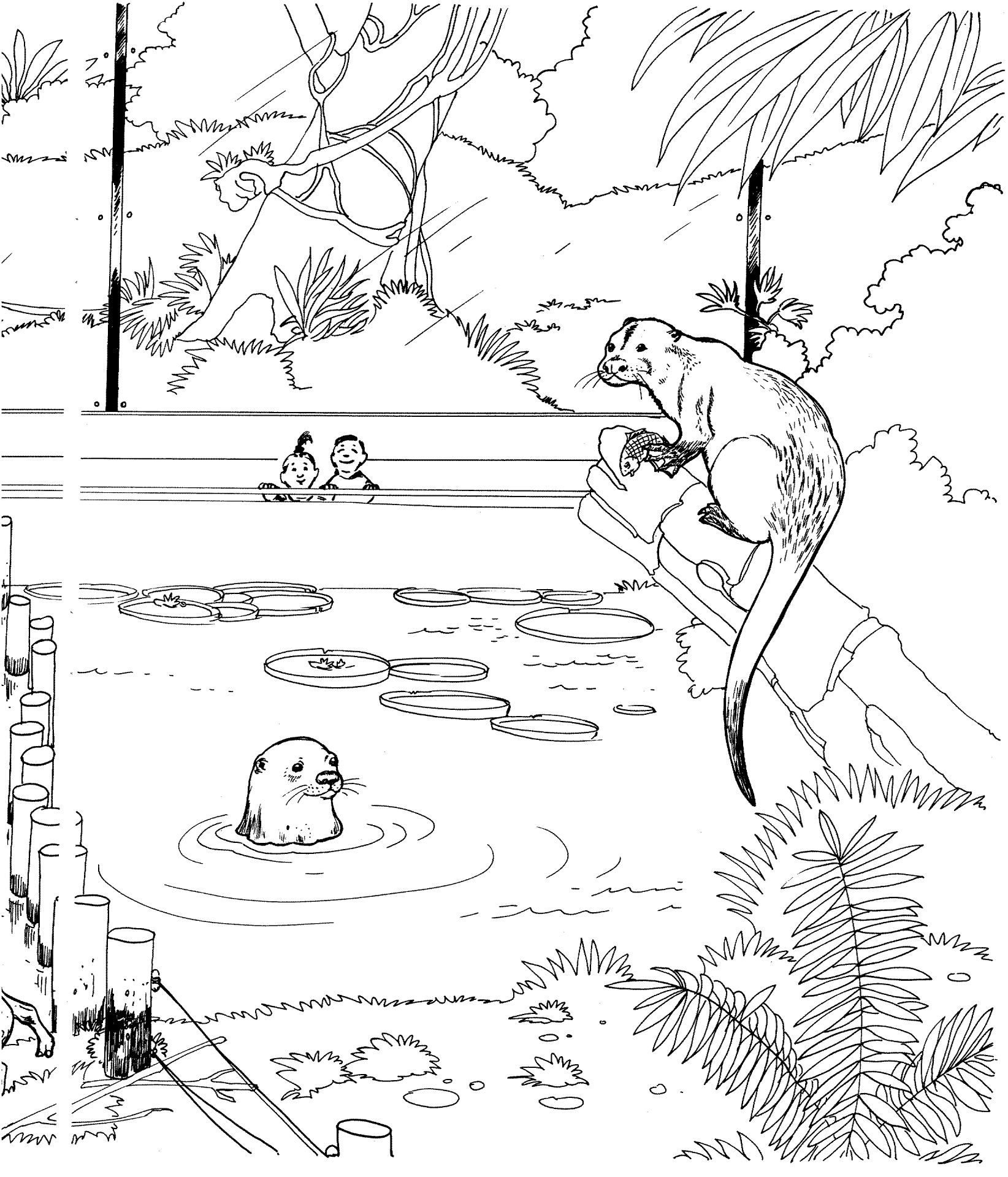 Desenho de Lontra para colorir