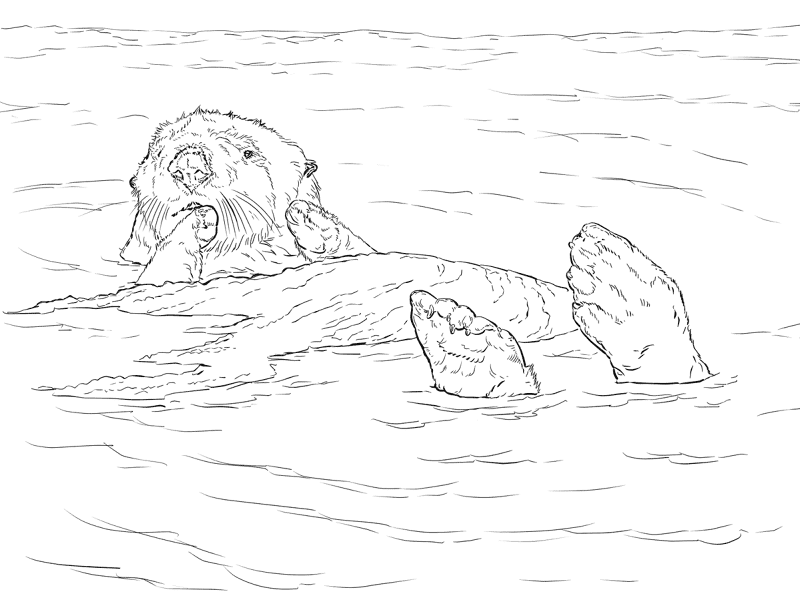 Desenho de Lontra para colorir