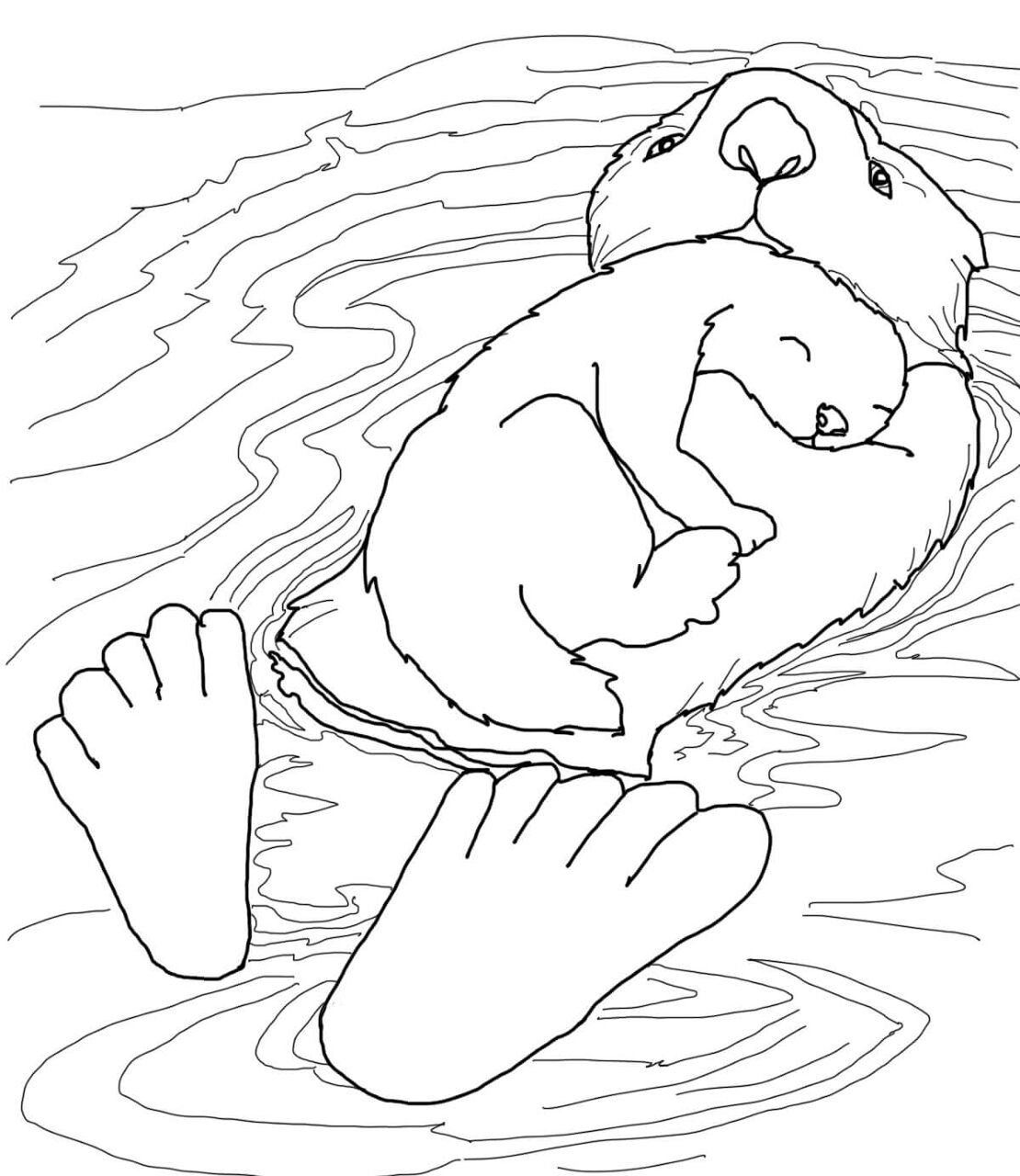 Desenho de Lontra para colorir