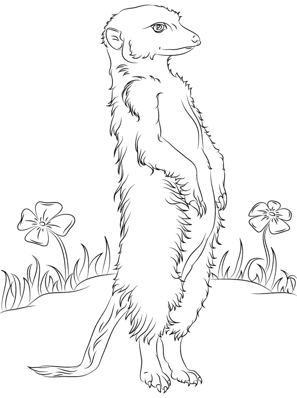 Desenho de Lúdico para colorir