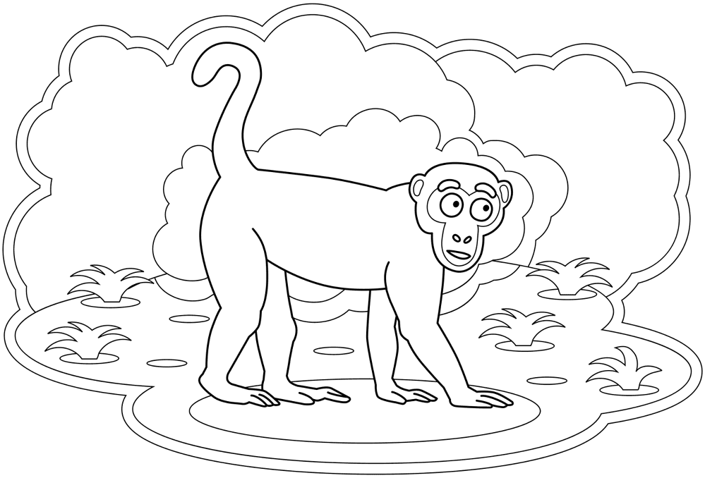 Desenho de Macacos para colorir e imprimir: número 3