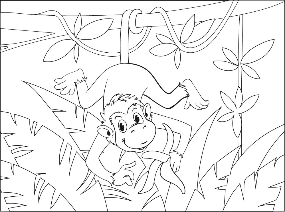 Desenho de Macacos para colorir e imprimir: número 4