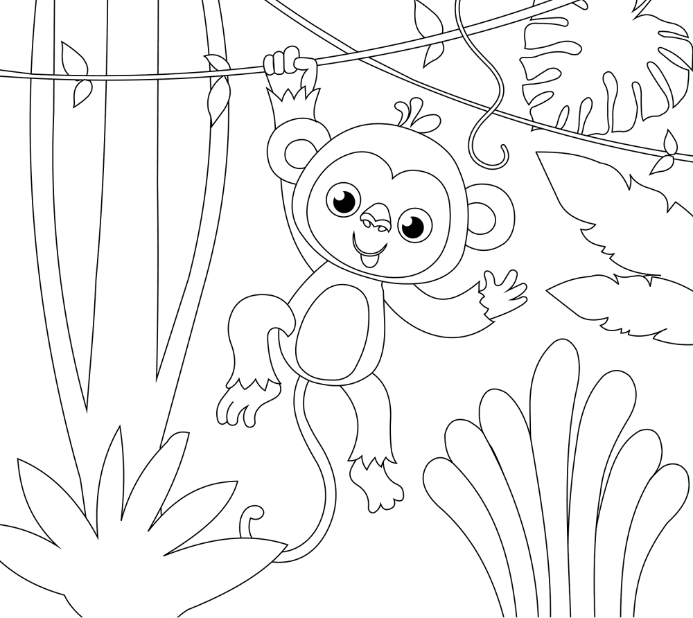 Desenho de Macacos para colorir e imprimir: número 12