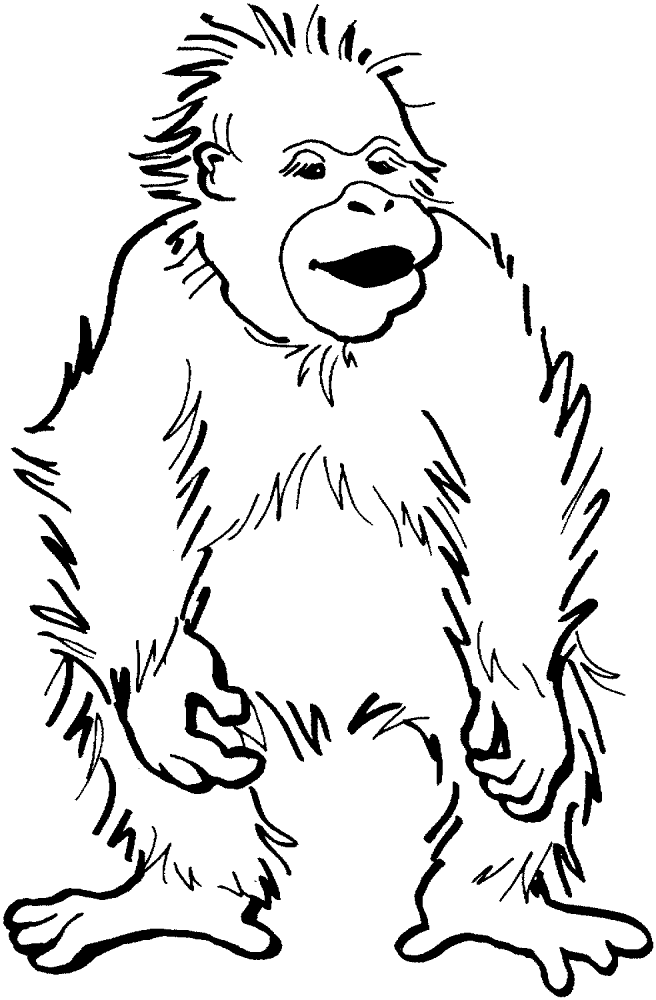 Desenho de Macacos para colorir e imprimir: número 18