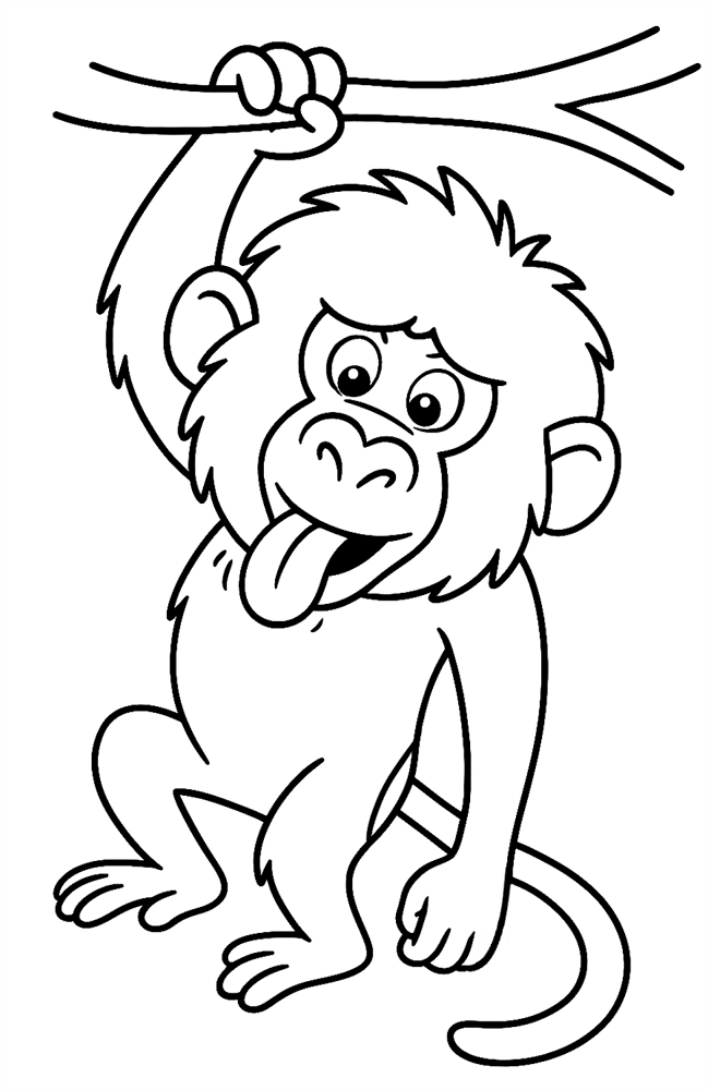 Desenho de Macacos para colorir e imprimir: número 24