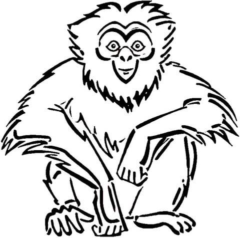 Desenho de Macacos para colorir e imprimir: número 30