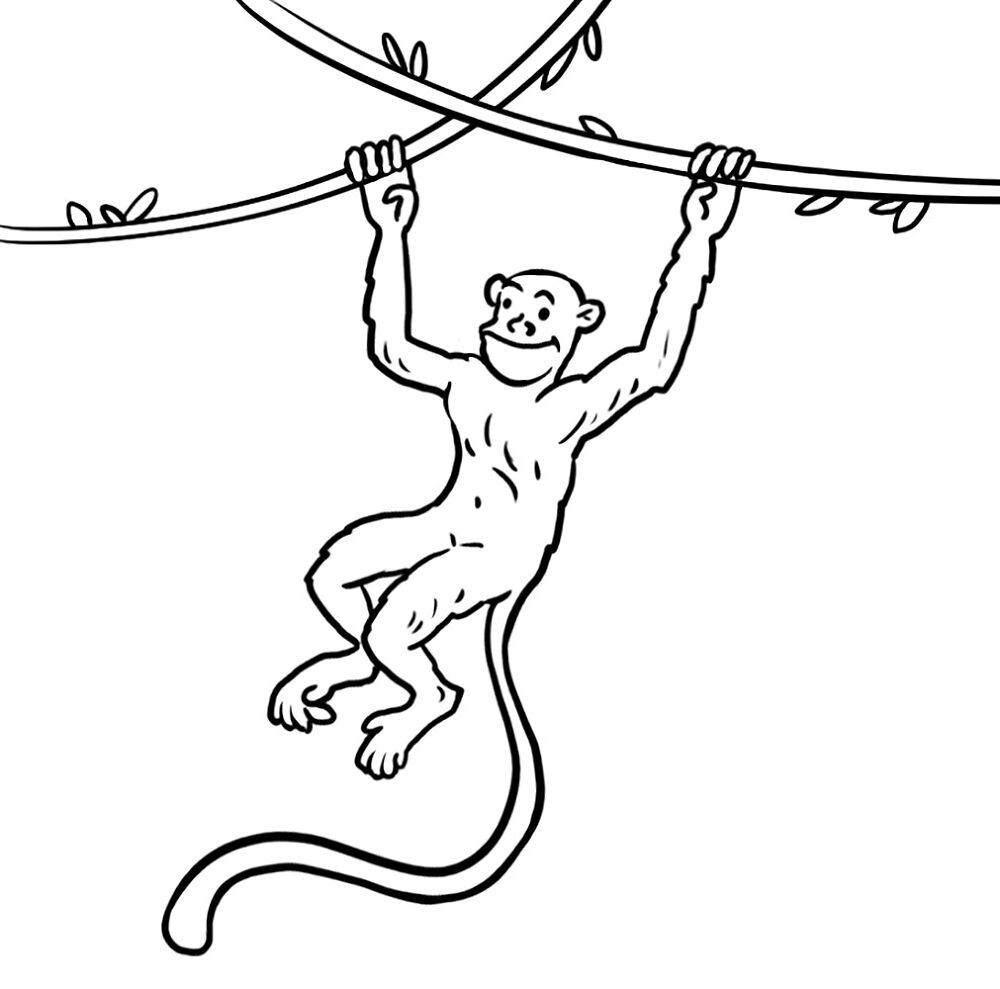 Desenho de Macacos para colorir e imprimir: número 31