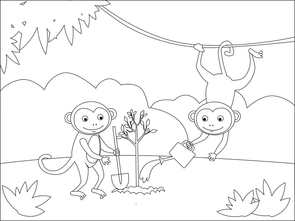 Desenho de Macacos para colorir e imprimir: número 34