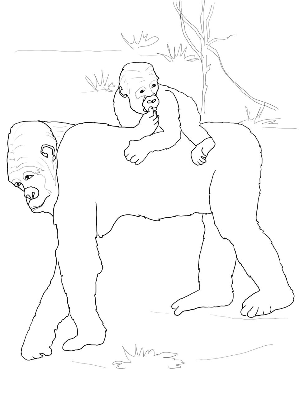 Desenho de Macacos para colorir e imprimir: número 42