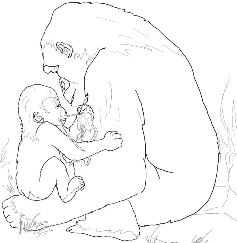 Desenho de Macacos para colorir e imprimir: número 43