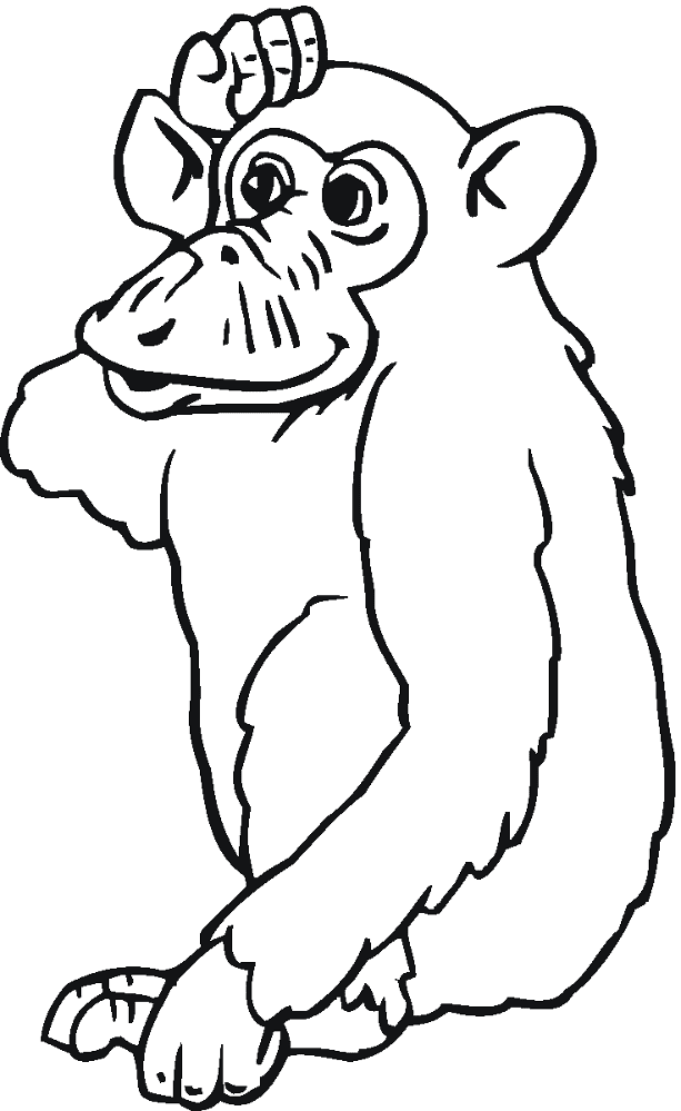 Desenho de Macacos para colorir e imprimir: número 48