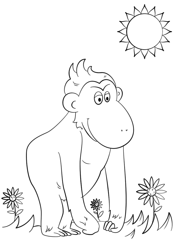 Desenho de Macacos para colorir
