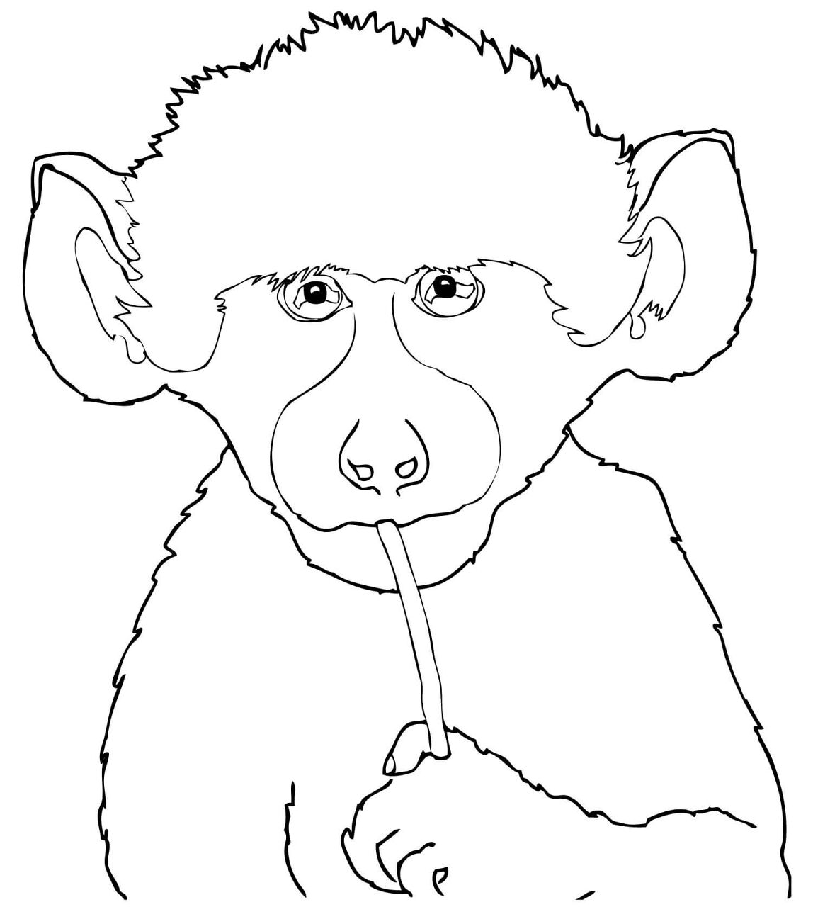 Desenho de Macacos para colorir