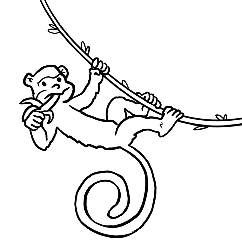 Desenho de Macacos para colorir