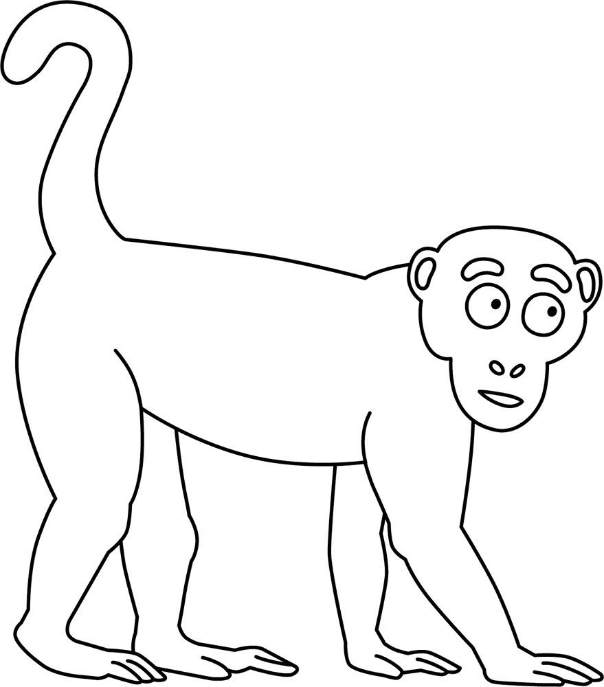 Desenho de Macacos para colorir