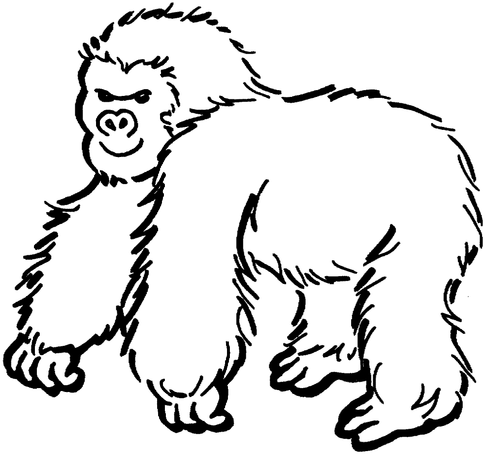 Desenho de Macacos para colorir