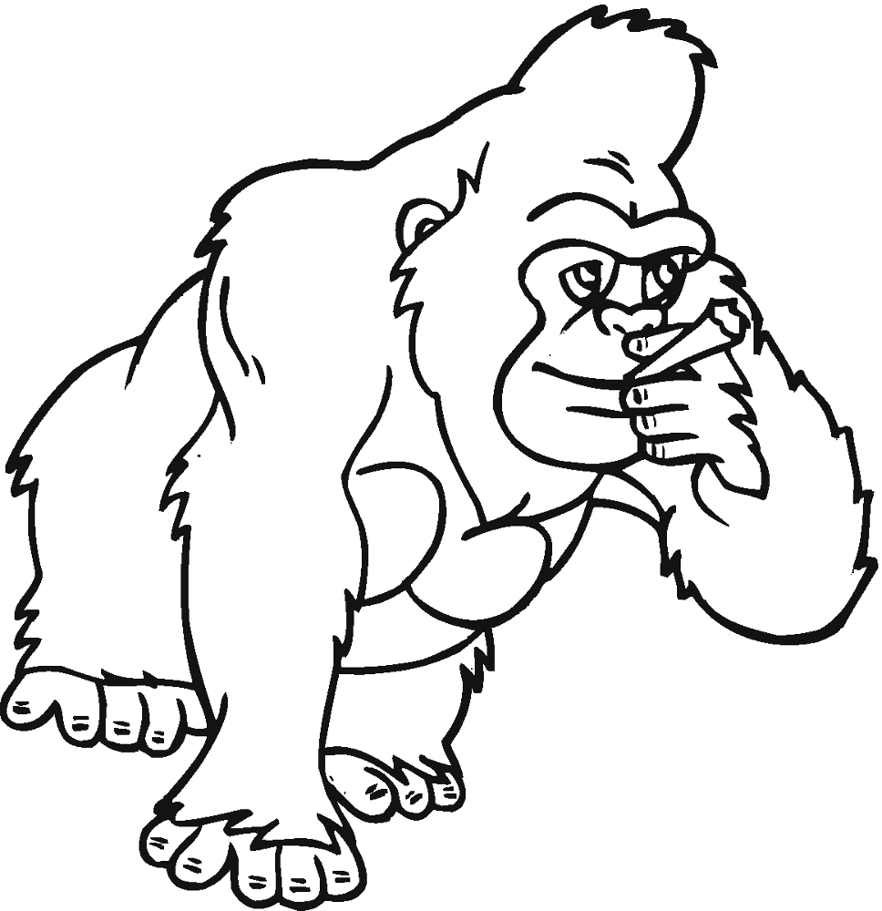 Desenho de Macacos para colorir