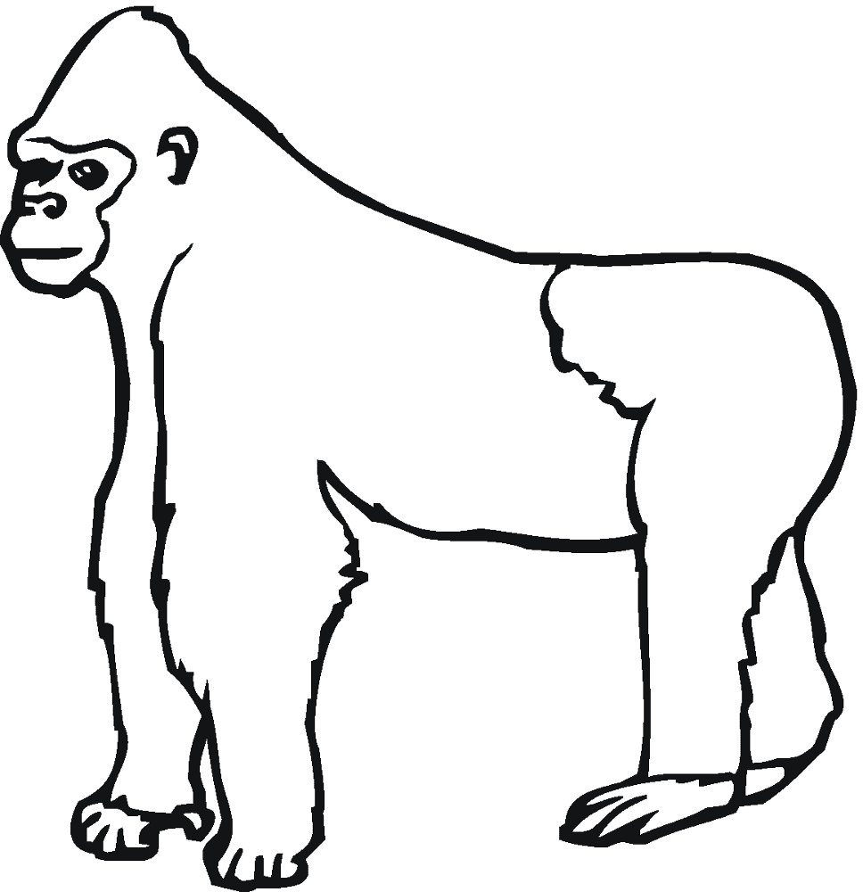 Desenho de Macacos para colorir