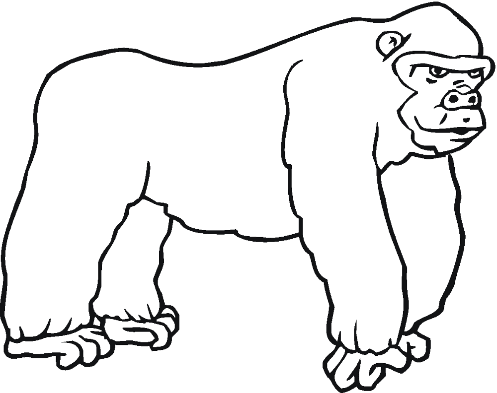 Desenho de Macacos para colorir