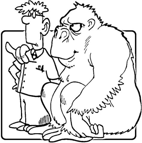 Desenho de Macacos para colorir