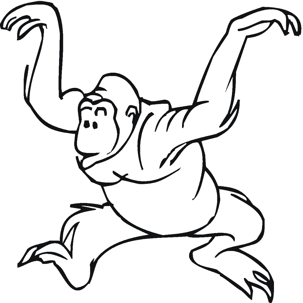 Desenho de Macacos para colorir