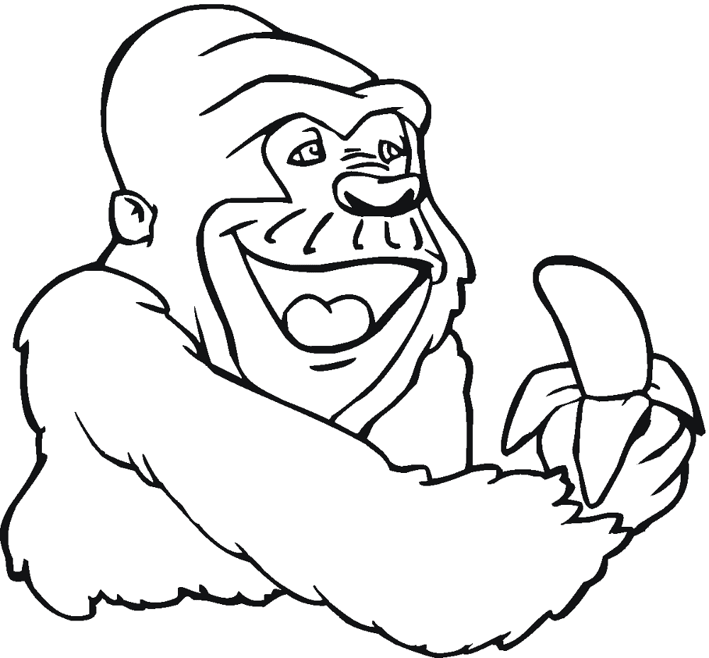 Desenho de Macacos para colorir