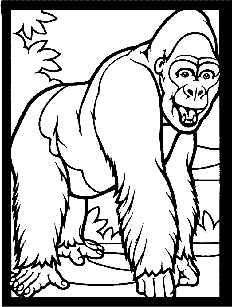 Desenho de Macacos para colorir
