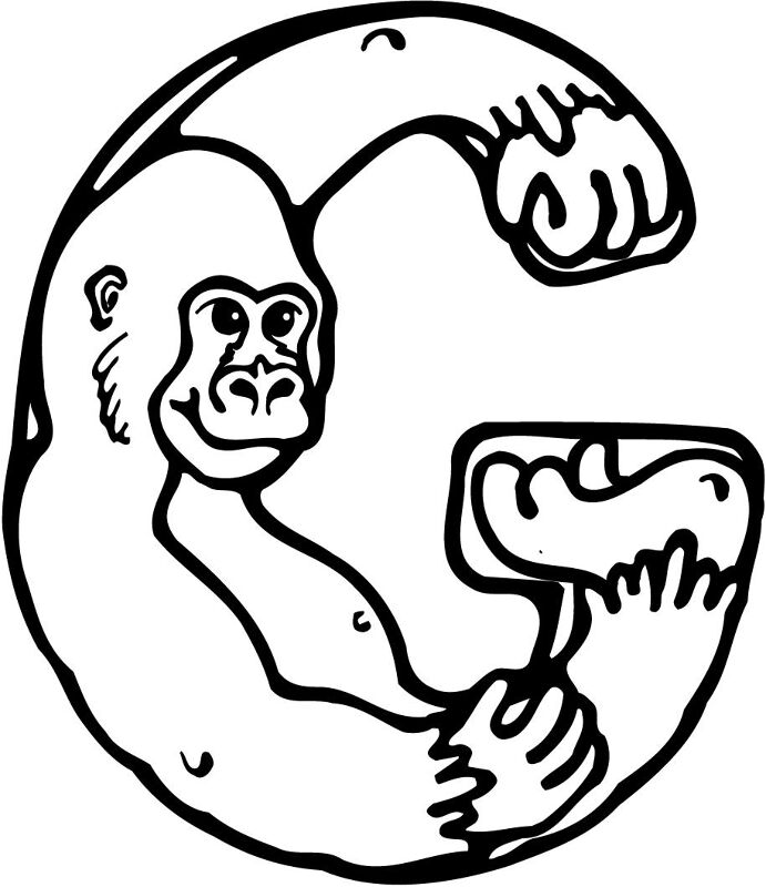 Desenho de Macacos para colorir